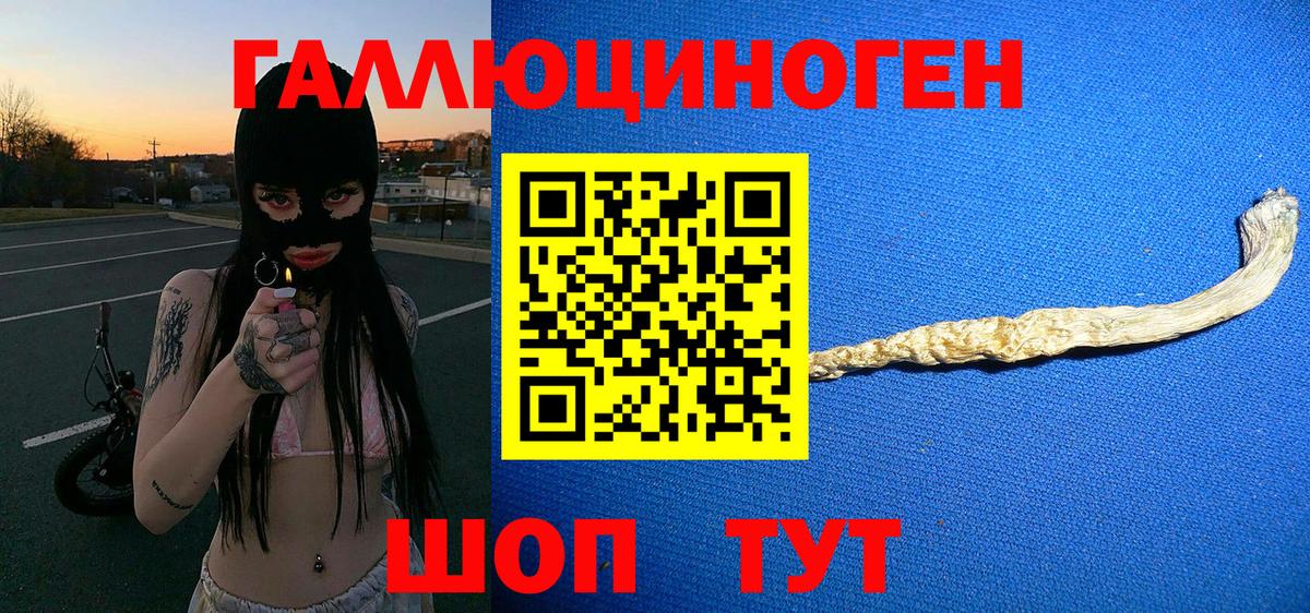 Псилоцибиновые грибы прущие грибы  Псилоцибиновые грибы Psilocybe  Щёлково  где можно купить наркотик  Вход с VPN 